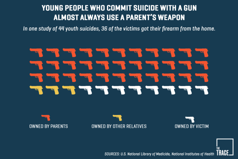 Image result for gun availability suicide