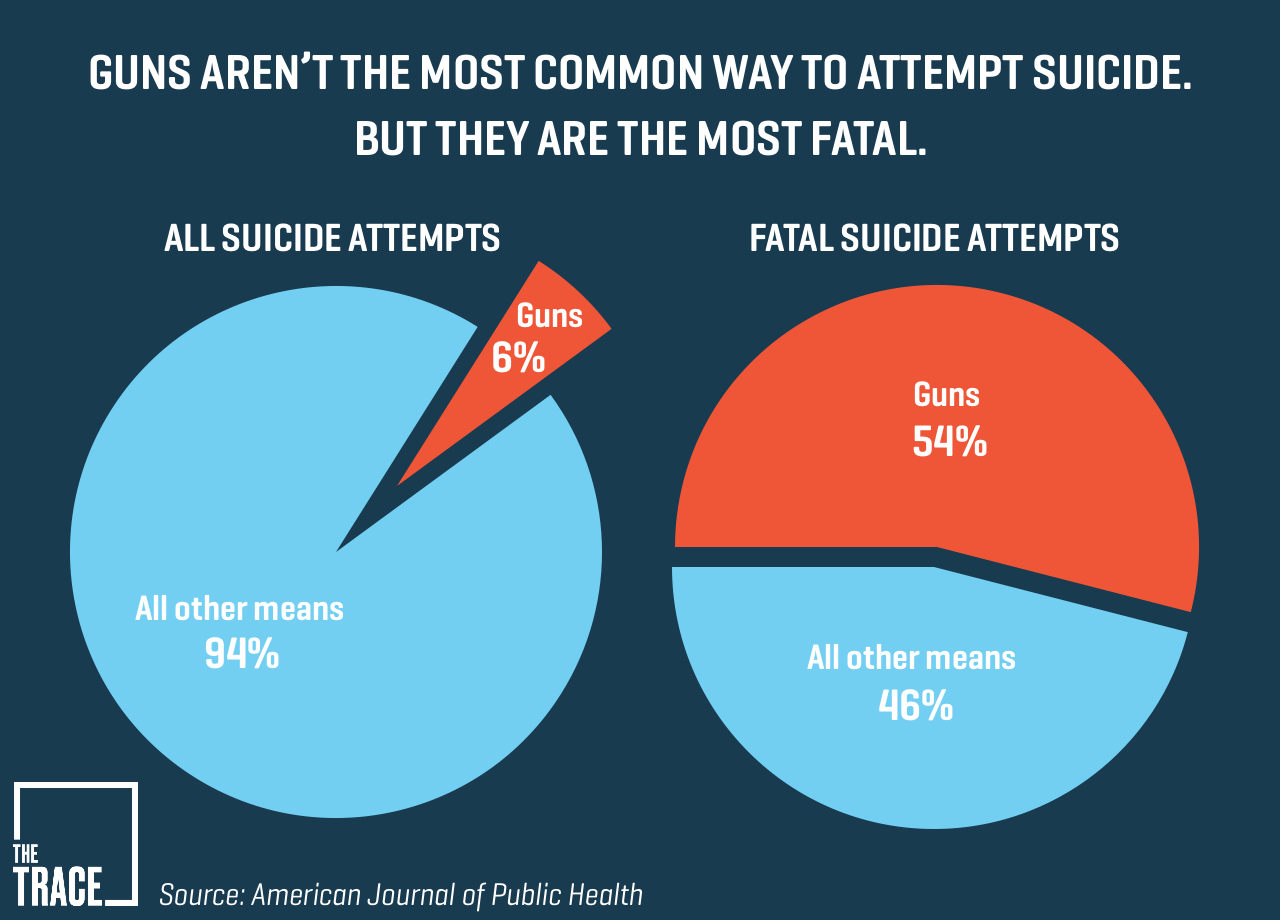 Suicide Pie Chart For Usa