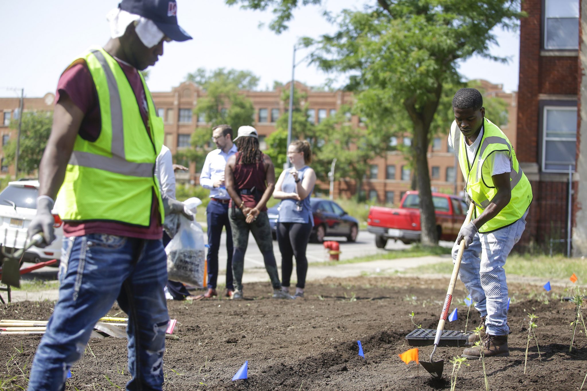 Fighting Gun Violence in Chicago, With Trees, Rakes, and Cleanup Crews